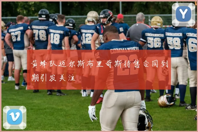 黄蜂队迈尔斯布里奇斯待售合同到期引发关注